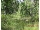 LOT 5 THOMSETTS ROAD, Bloomsbury QLD 4799