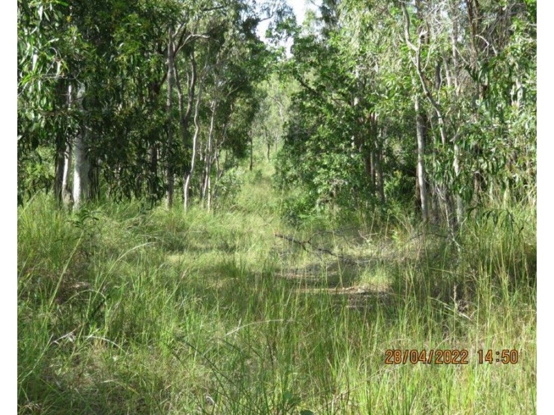 LOT 5 THOMSETTS ROAD, Bloomsbury QLD 4799
