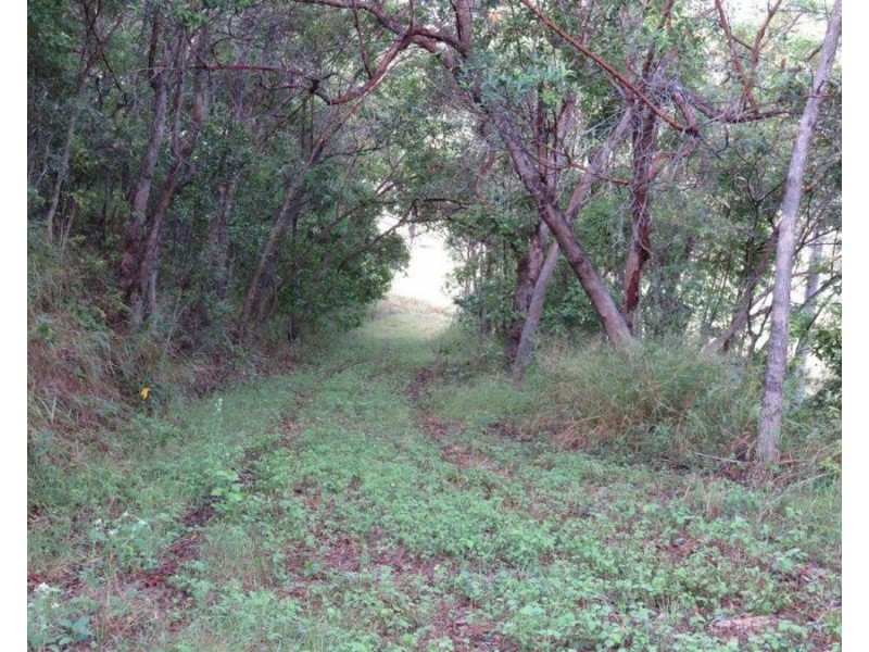 LOT 5 MIDGE POINT ROAD, Midge Point QLD 4799