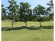 389 GREGORY CANNON VALLEY RD, Gregory River QLD 4800