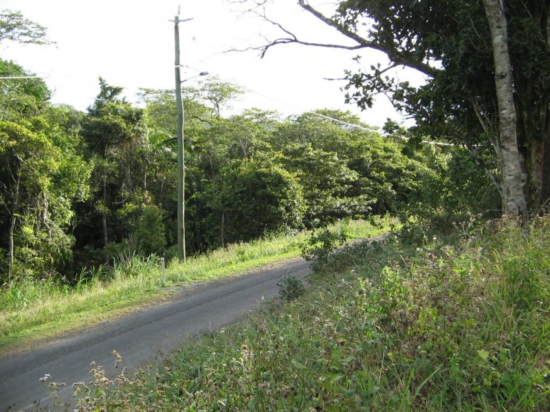 2 HOWIE  STREET EUNGELLA 4757, Whitsundays QLD 4802