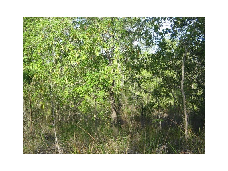 117 LELONA DRIVE BLOOMSBURY, Whitsundays QLD 4802