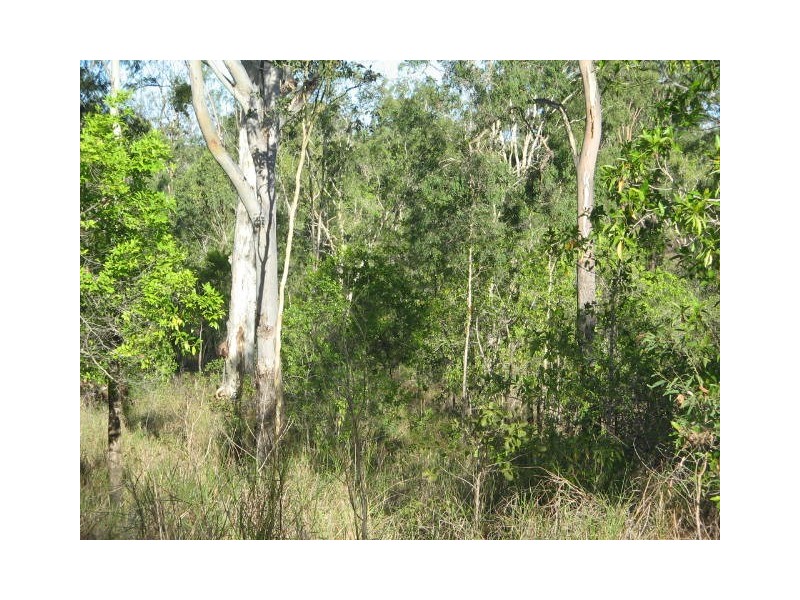 117 LELONA DRIVE BLOOMSBURY, Whitsundays QLD 4802