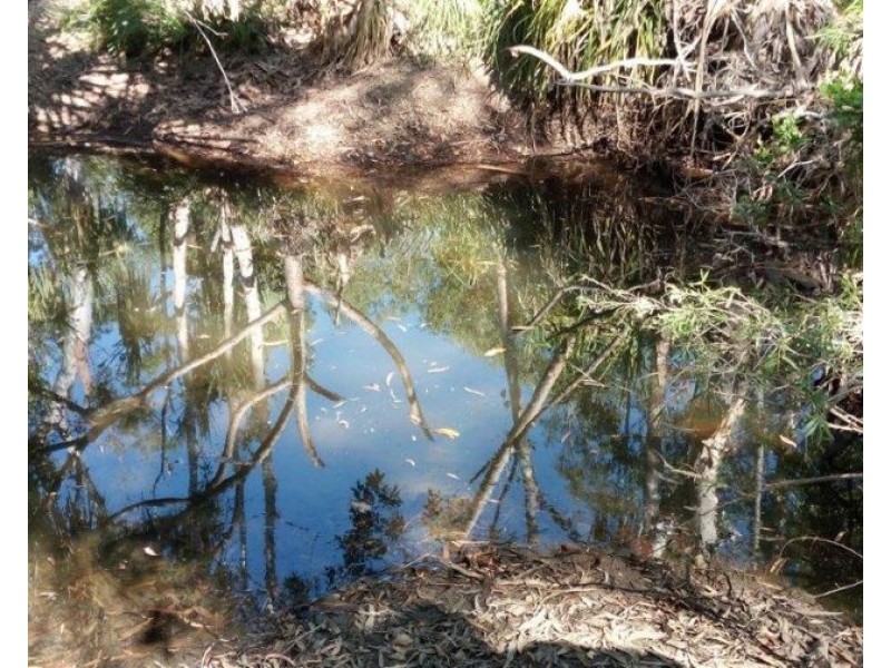 LOT 5 LELONA DRIVE, Bloomsbury QLD 4799