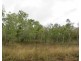 LOT 10 LELONA DRIVE, Bloomsbury QLD 4799