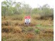 LOT 10 LELONA DRIVE, Bloomsbury QLD 4799