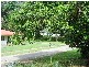 2 BURTON ST. MIDGE POINT, Whitsundays QLD 4802