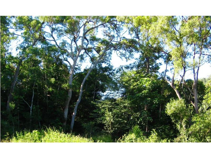 LOT 2 CONWAY ROAD, CONWAY 4800, Whitsundays QLD 4802