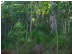 LOT 2 CONWAY ROAD, CONWAY 4800, Whitsundays QLD 4802