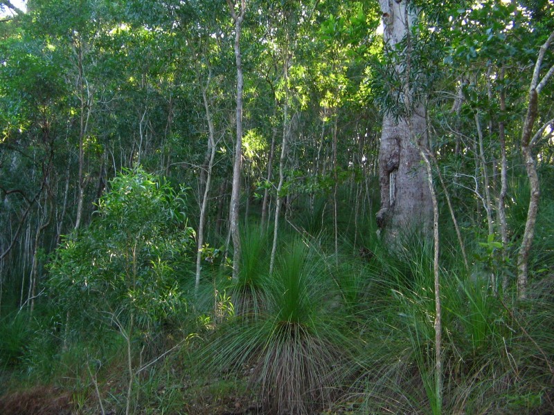 LOT 2 CONWAY ROAD, CONWAY 4800, Whitsundays QLD 4802