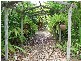 LOT 31 MIDGE POINT ROAD. MIDGE POINT, Whitsundays QLD 4802