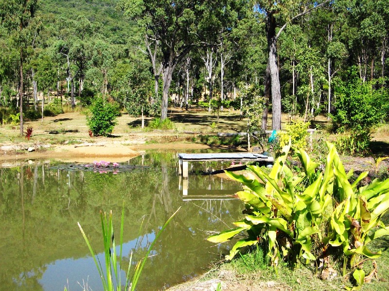 10 LAWSON ST, Midge Point QLD 4799