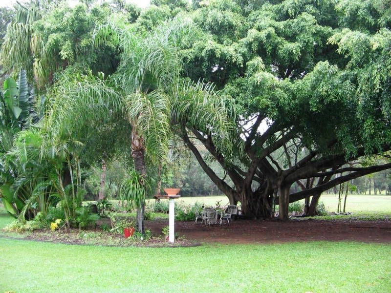 1696 CONWAY ROAD, CONWAY 4800, Whitsundays QLD 4802