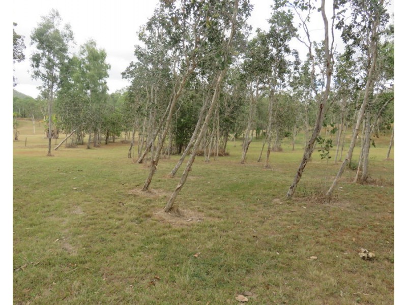 LOT 8 LELONA DRIVE, Bloomsbury QLD 4799
