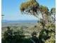 LOT 22 HAYMAN DRIVE, Bloomsbury QLD 4799