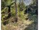 LOT 22 HAYMAN DRIVE, Bloomsbury QLD 4799