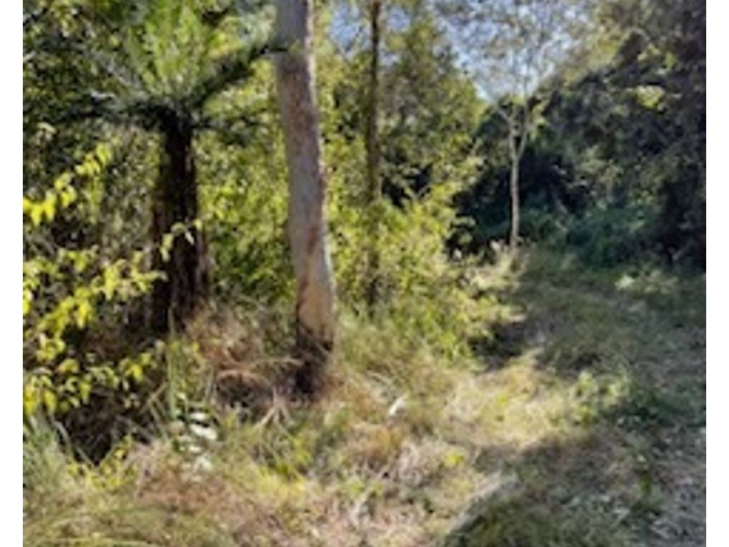 LOT 22 HAYMAN DRIVE, Bloomsbury QLD 4799