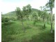 LOT 5 MIDGE POINT ROAD, Midge Point QLD 4799