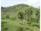 LOT 5 MIDGE POINT ROAD, Midge Point QLD 4799