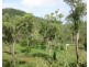 LOT 5 MIDGE POINT ROAD, Midge Point QLD 4799