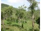 LOT 5 MIDGE POINT ROAD, Midge Point QLD 4799