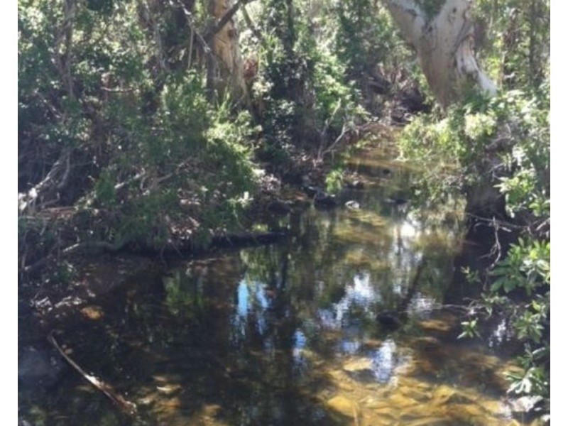 33 CARLISLE CRESCENT, Bloomsbury QLD 4799