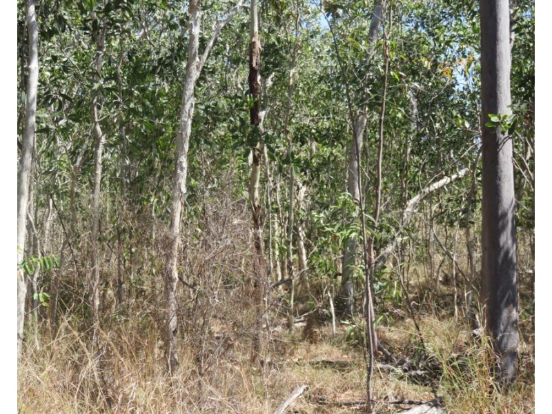 LOT 7 & 8 LAHAN EST. LAGUNA QUAYS, Laguna Quays QLD 4800