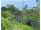 LOT 1 PARKWOOD TERRACE, Cannonvale QLD 4802