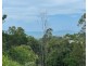 LOT 1 PARKWOOD TERRACE, Cannonvale QLD 4802