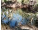 LOT 5 LELONA DRIVE (174), Bloomsbury QLD 4799