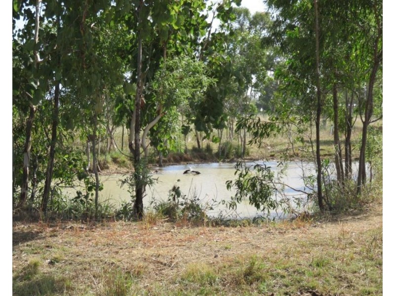 1424 Midge Point Rd, Midge Point QLD 4799