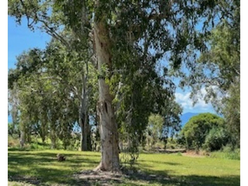 22 POWER BOULEVARD, Midge Point QLD 4799