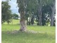 22 POWER BOULEVARD, Midge Point QLD 4799