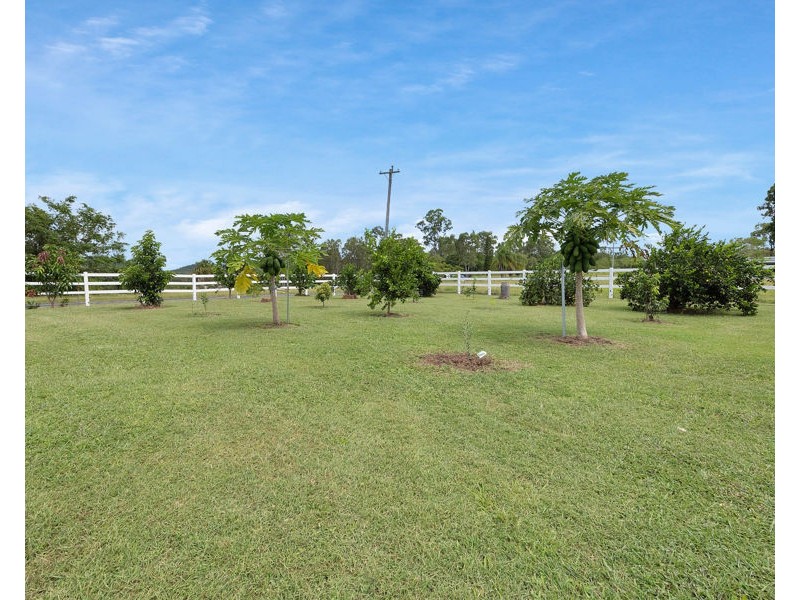 43 LINDEMAN DRIVE, Bloomsbury QLD 4799