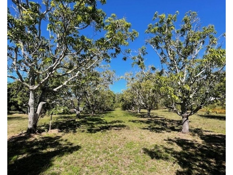 401 Midge Point Rd, Bloomsbury QLD 4799