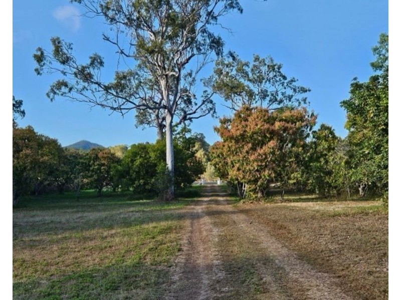 401 Midge Point Rd, Bloomsbury QLD 4799