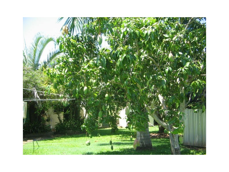 31 CALEN – MOUNT CHARLTON ROAD CALEN, Mackay QLD 4740