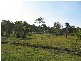 LOT 173 MIDGE POINT ROAD, Bloomsbury QLD 4799