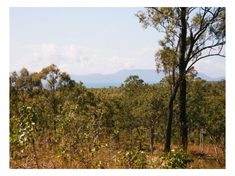 LOT 3 MOUNTAIN VISTA ESTATE, Midge Point QLD 4799