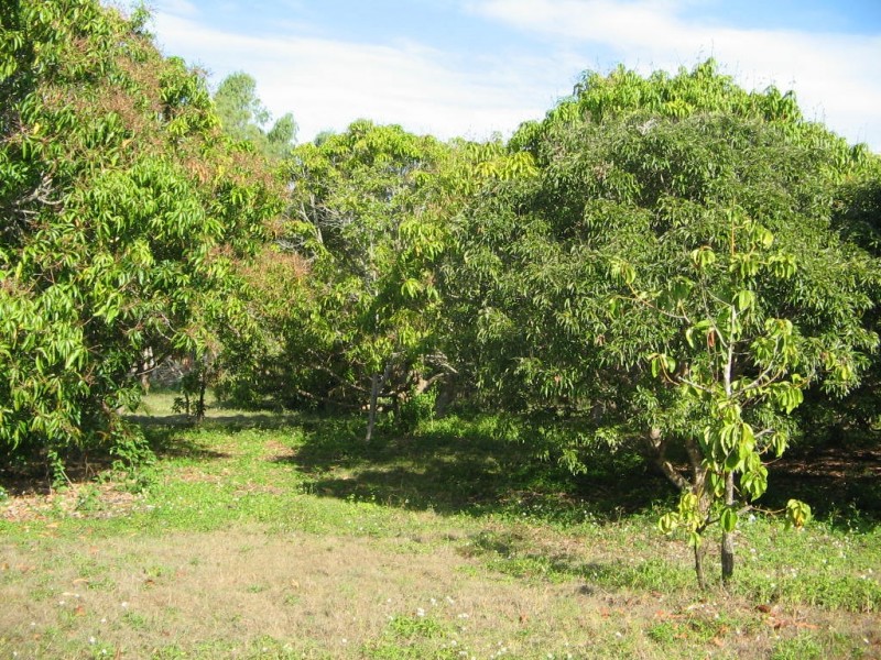 LOT 5 BUNDESEN AVE, Midge Point QLD 4799