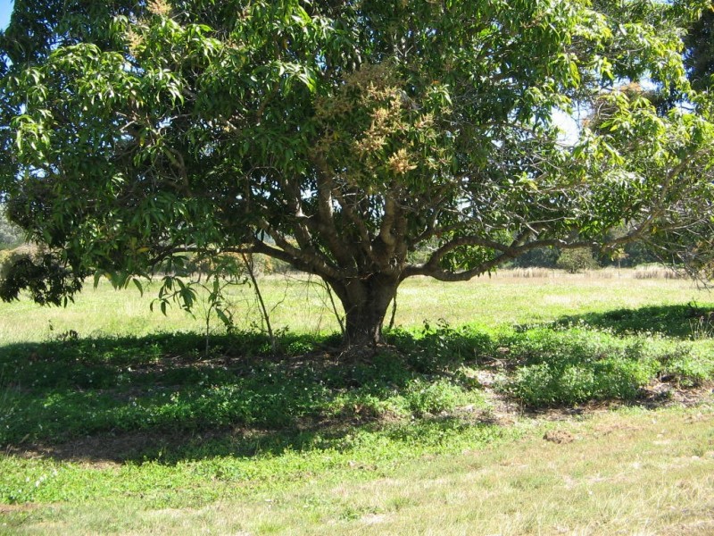 LOT 5 BUNDESEN AVE, Midge Point QLD 4799