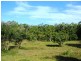 LOT 5 BUNDESEN AVE, Midge Point QLD 4799