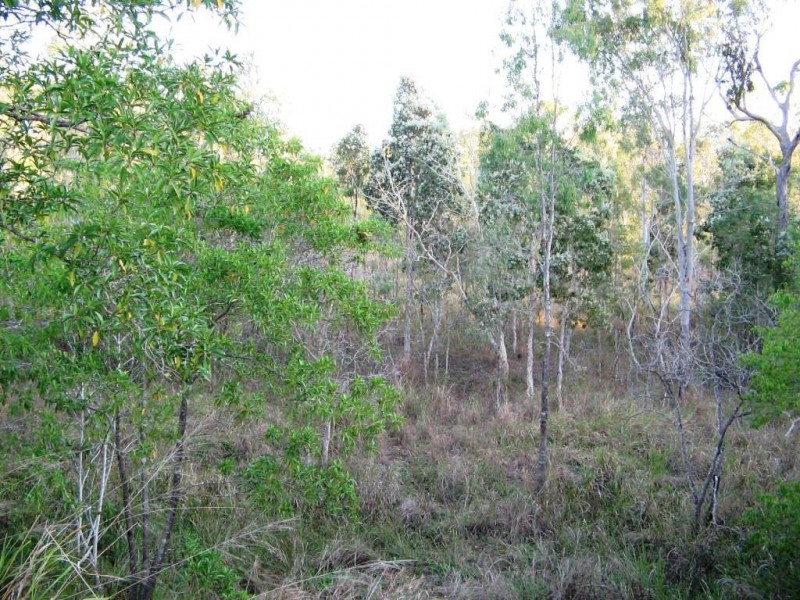 LOT 122 WHITSUNDAY DRIVE BLOOMSBURY, Midge Point QLD 4799