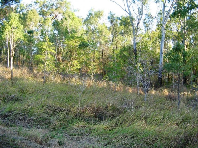LOT 122 WHITSUNDAY DRIVE BLOOMSBURY, Midge Point QLD 4799