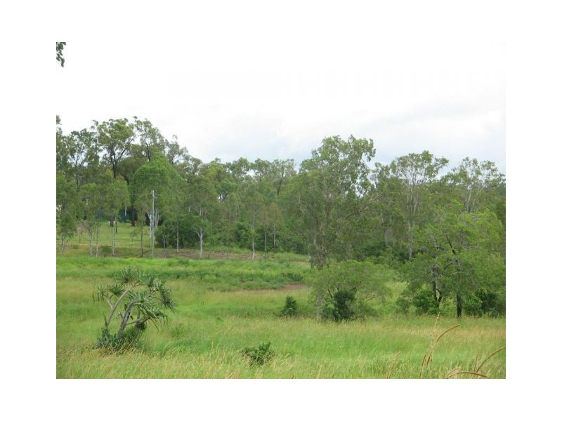 LOT 165 WHITSUNDAY DRIVE, Bloomsbury QLD 4799