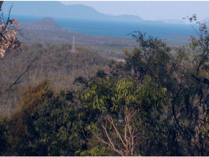 LOT 20 EXMOOR ROAD, Bloomsbury QLD 4799