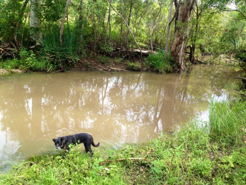 LOT 20 EXMOOR ROAD, Bloomsbury QLD 4799
