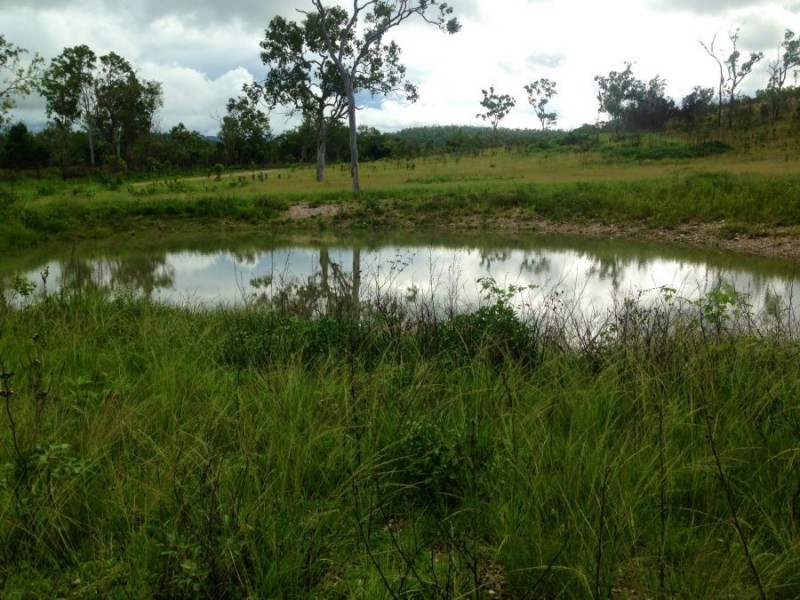 LOT 20 EXMOOR ROAD, Bloomsbury QLD 4799