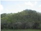 LOT 20 EXMOOR ROAD, Bloomsbury QLD 4799