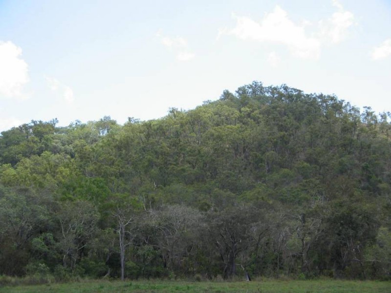 LOT 20 EXMOOR ROAD, Bloomsbury QLD 4799